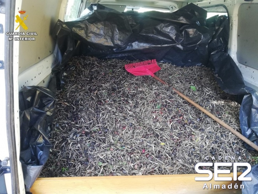 Tres detenidos por robo de aceitunas en Saceruela