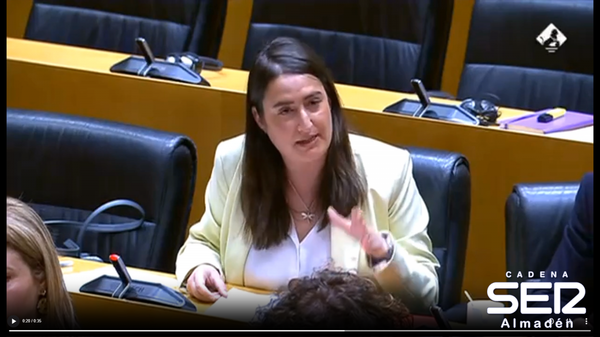 VIDEOS: La Diputada del PSOE Cristina López defiende una PNL en el Congreso sobre Almadén