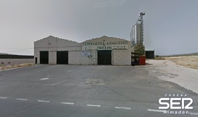 La Hora de Montesur: Cooperativa de ganaderos de Chillón