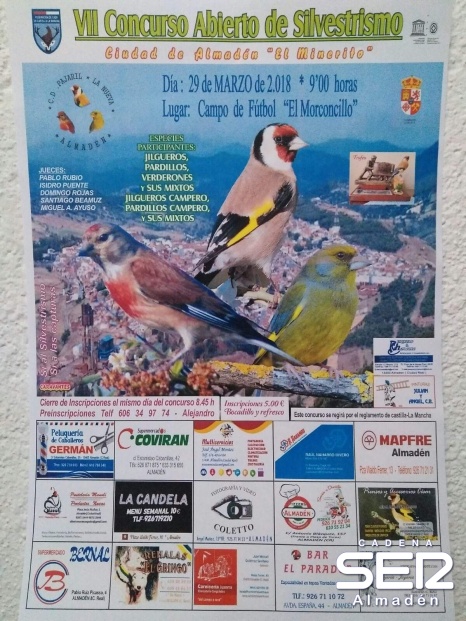 VII concurso abierto de Silvestrismo en Almadén