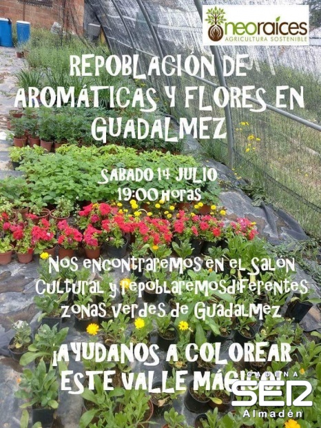 Neoraíces repoblará plantas aromáticas y flores en Guadalmez 