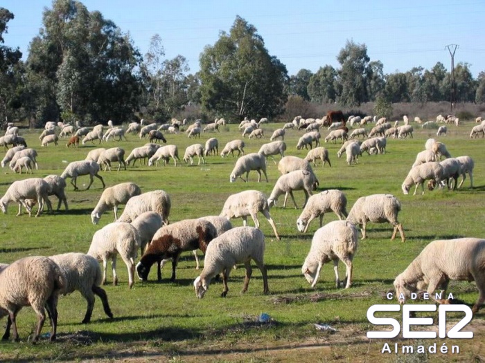 La cooperativa de ganaderos de Chillón se informa de los abonos y fertilizantes