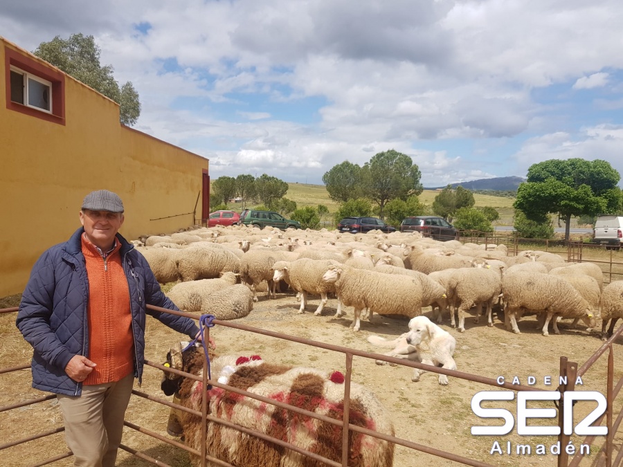 Se cerró con éxito de participación la I Feria de la Trashumancia de Alamillo